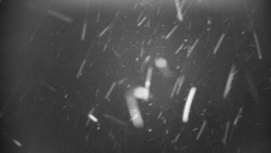 Praděd - Petrovy kameny