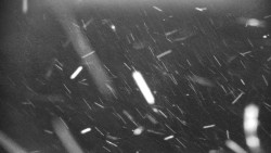 Praděd - Petrovy kameny