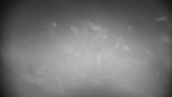 Praděd - Petrovy kameny