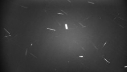 Praděd - Petrovy kameny