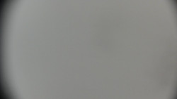 Praděd - Petrovy kameny