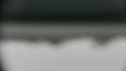 Praděd - Petrovy kameny