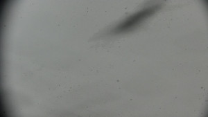 Horský hotel Volareza - Praděd - Praděd - Petrovy kameny - 23.2.2026 v 11:01