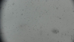 Praděd - Petrovy kameny