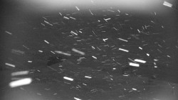 Praděd - Petrovy kameny