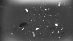 Praděd - Petrovy kameny