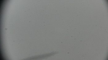 Horský hotel Volareza - Praděd