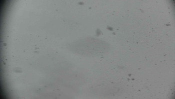 Horský hotel Volareza - Praděd