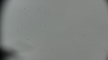 Horský hotel Volareza - Praděd