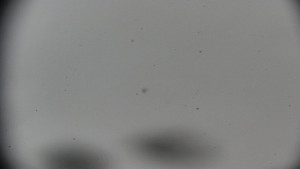 Horský hotel Volareza - Praděd - Praděd - Petrovy kameny - 17.3.2026 v 12:31