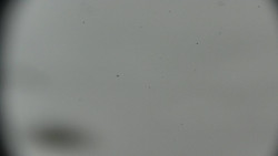 Praděd - Petrovy kameny