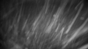 Horský hotel Volareza - Praděd - Praděd - Petrovy kameny - 26.3.2026 v 04:31