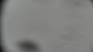 Horský hotel Volareza - Praděd - Praděd - Petrovy kameny - 26.3.2026 v 08:31