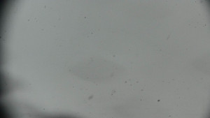 Horský hotel Volareza - Praděd - Praděd - Petrovy kameny - 26.3.2026 v 09:01