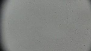 Horský hotel Volareza - Praděd - Praděd - Petrovy kameny - 26.3.2026 v 09:31