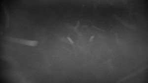 Horský hotel Volareza - Praděd - Praděd - Petrovy kameny - 26.3.2026 v 19:01