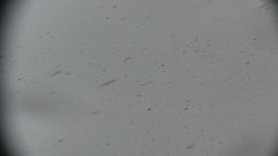 Praděd - Petrovy kameny