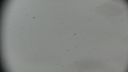 Praděd - Petrovy kameny