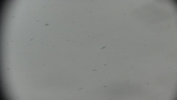 Horský hotel Volareza - Praděd