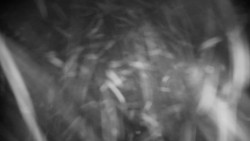 Praděd - Petrovy kameny