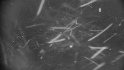 Praděd - Petrovy kameny