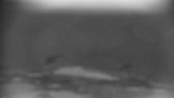 Praděd - Petrovy kameny