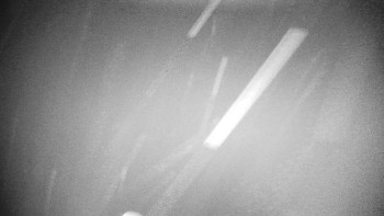 Snímek 17.11.2025 v 23:01