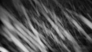 Horský hotel Volareza - Praděd - Vysílač Praděd - 2.1.2026 v 04:31