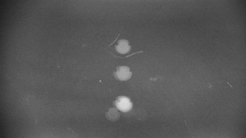 Horský hotel Volareza - Praděd