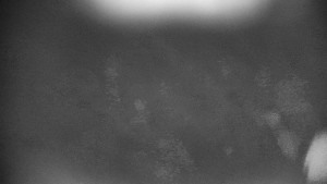 Horský hotel Volareza - Praděd - Vysílač Praděd - 31.3.2026 v 20:31 Horský hotel Volareza - Praděd - Vysílač Praděd - 31.3.2026 v 20:31