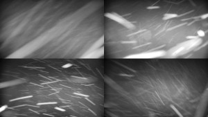 Horský hotel Volareza - Praděd - Sdružený snímek - 2.1.2026 v 03:31