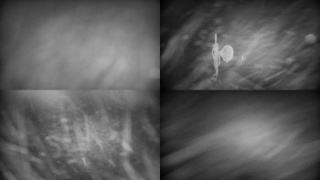 Horský hotel Volareza - Praděd