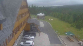Snímek    4.7.2025 v 09:05