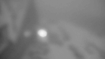 Snímek    28.10.2025 v 06:10