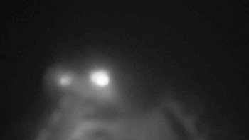 Snímek    28.10.2025 v 20:15