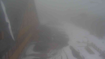 Snímek    29.10.2025 v 13:10