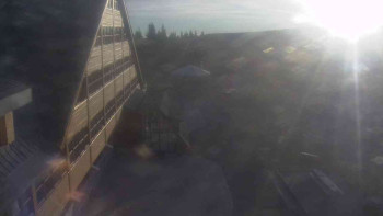 Snímek 5.11.2025 v 07:30