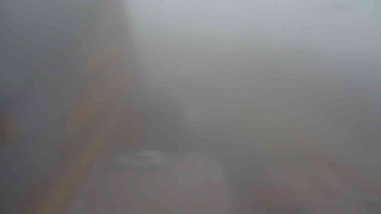 Snímek 7.11.2025 v 08:10