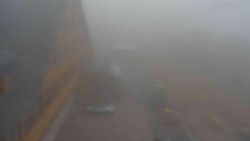 Parkoviště a hlavní vchod