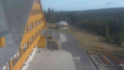 Parkoviště a hlavní vchod