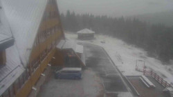 Parkoviště a hlavní vchod