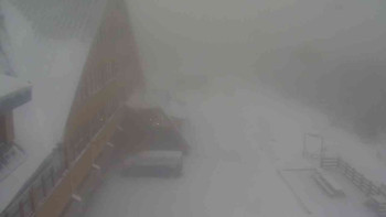 Snímek    19.11.2025 v 07:45