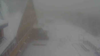 Snímek    19.11.2025 v 10:50