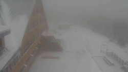 Parkoviště a hlavní vchod