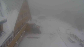 Snímek 19.11.2025 v 12:35