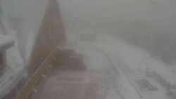 Parkoviště a hlavní vchod