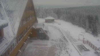 Snímek 21.11.2025 v 13:00