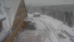 Parkoviště a hlavní vchod