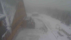 Parkoviště a hlavní vchod