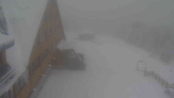 Parkoviště a hlavní vchod